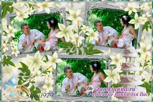 Свадебная рамка с нежными - белыми цветами и зеленой листвой