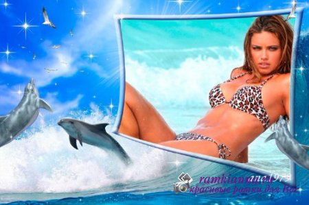 Летняя фоторамка для фотошопа с морем и дельфинами/Summer Picture Frame for Photoshop with the sea and dolphins