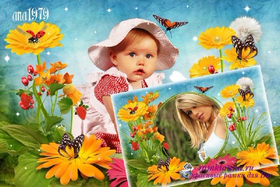 Рамка для фотошопа с летними цветами и бабочками