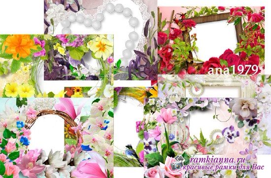 Цветочные рамки для фото в формате png – Весна и лето