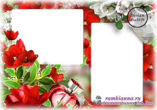 Рамка для фотошопа - Букет красных тюльпанов